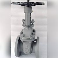 شیر کشویی فولادی 4 اینچ کلاس 150